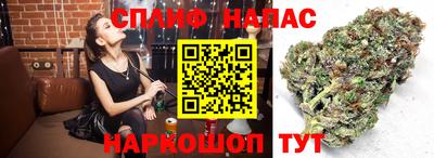 амф Малоярославец
