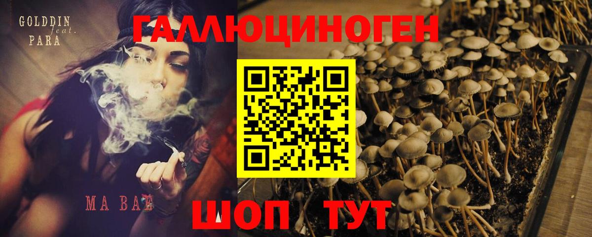Галлюциногенные грибы ЛСД  Псилоцибиновые грибы Psilocybine cubensis  Гусь-Хрустальный  Вход с VPN 